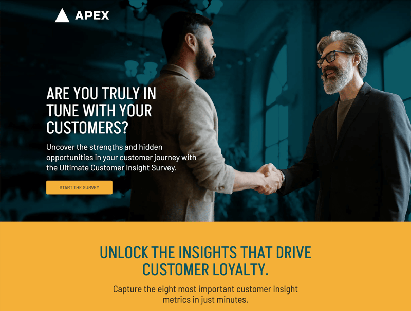 Ultimate Customer Insight Survey D