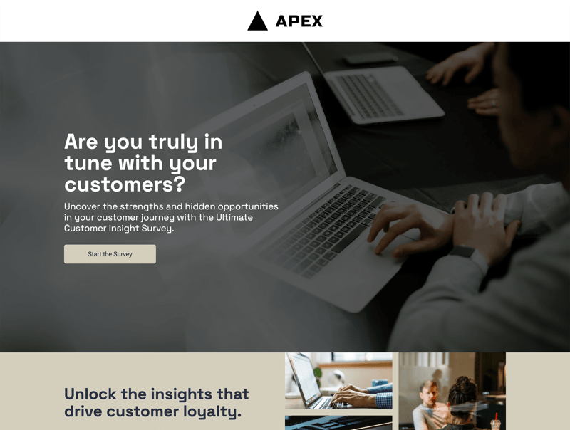 Ultimate Customer Insight Survey B