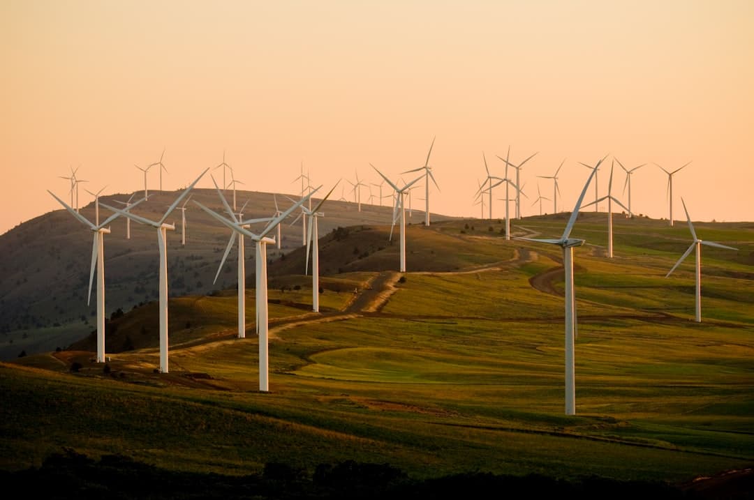 Climate action and net zero
