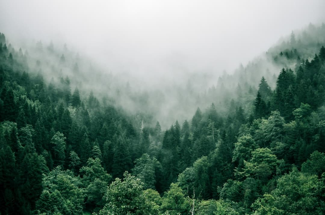 Environmental stewardship and circularity in nature
