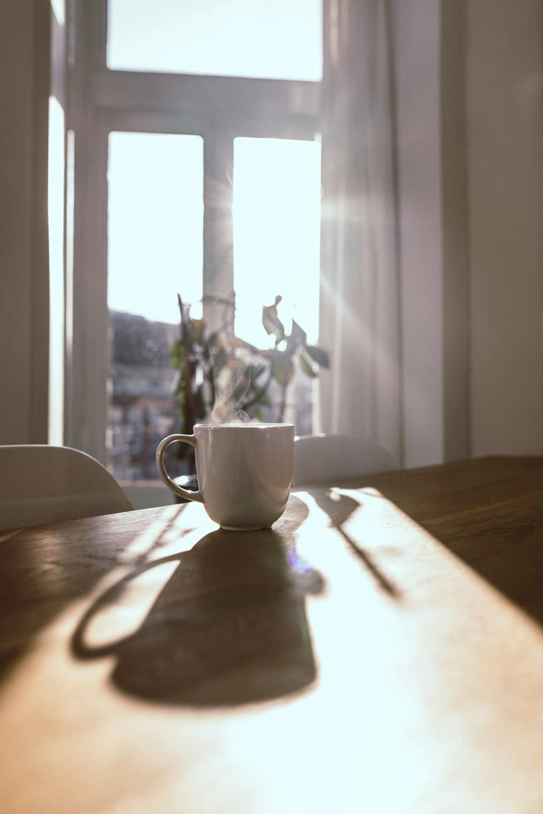 Soft morning light through a window