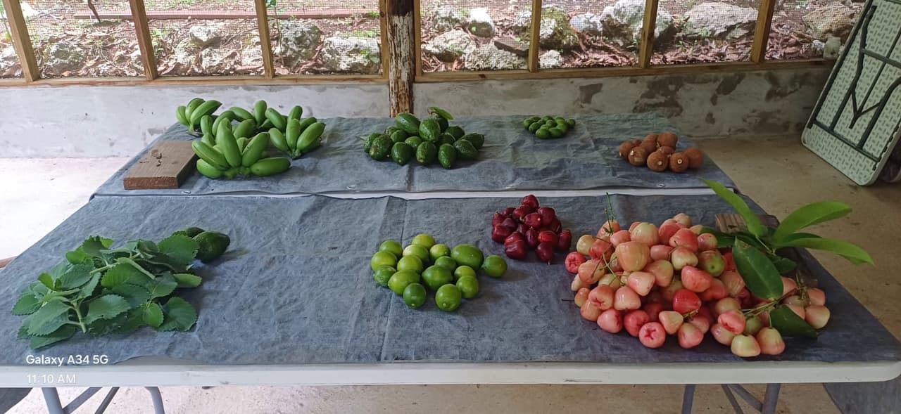 Fresh fruit harvest on a table
