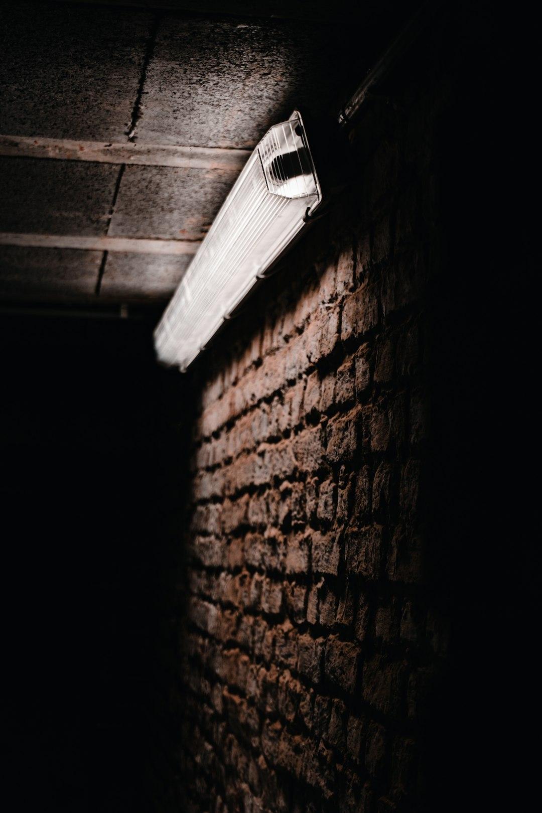 A homeowner checking a basement wall at home