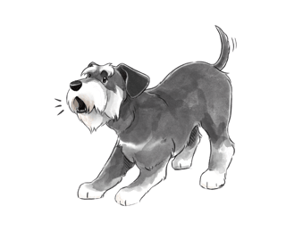 therapy-dog-compatibility-quiz