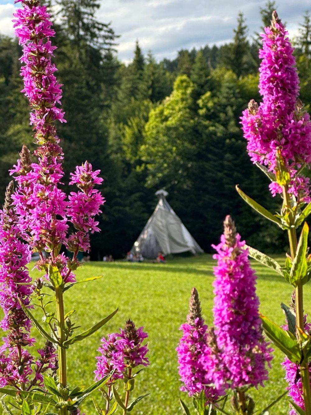 Tipi auf einer Waldlichtung mit blühenden Wildblumen im Vordergrund