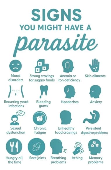 Signs you might have a Parasite