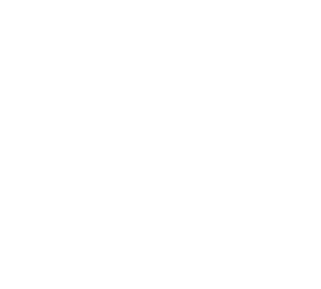 Lunar Group
