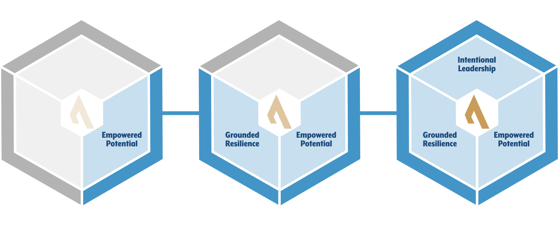 Culture of Excellence Snapshot