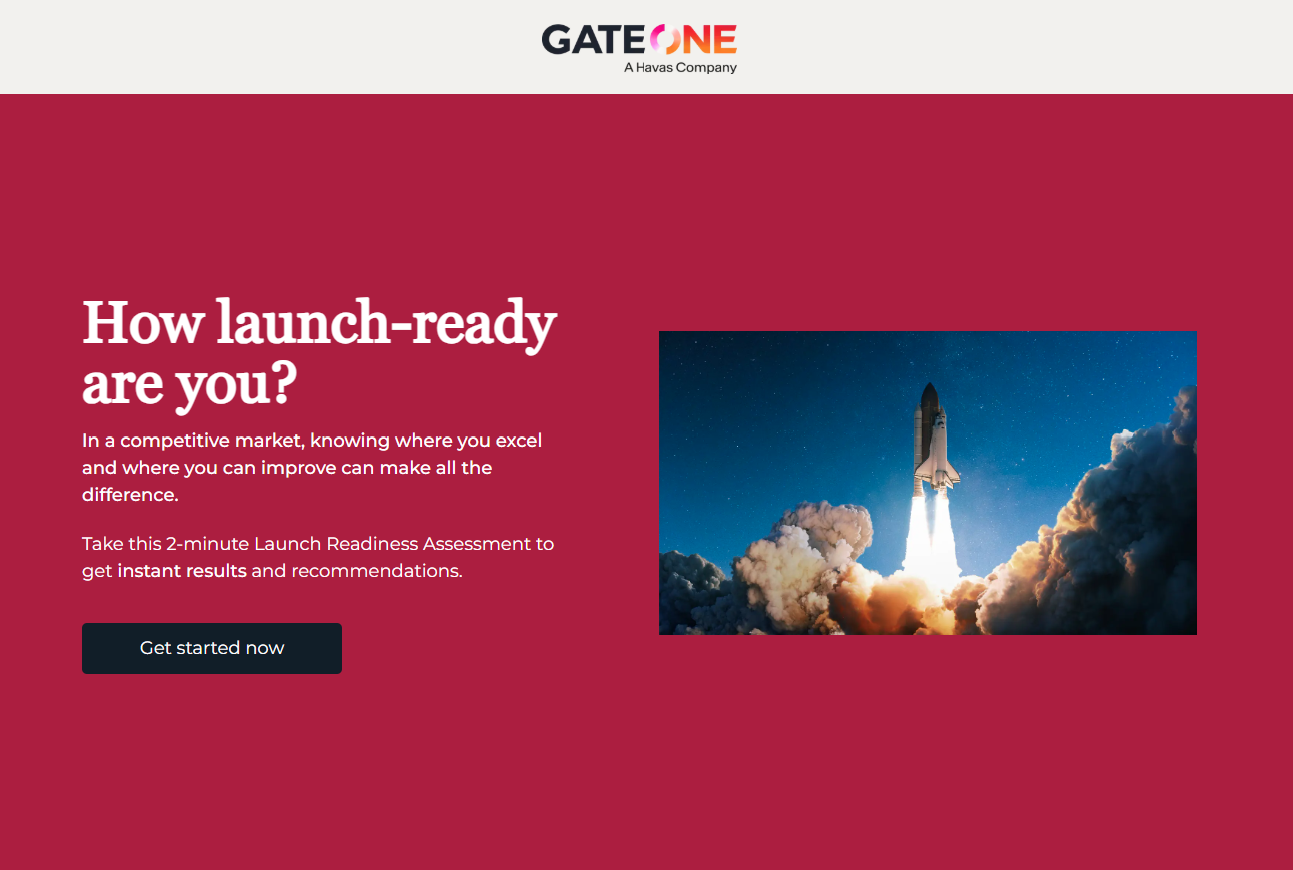 Gate One Launch Excellence Maturity Assessment