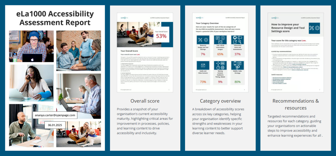 eLa1000 Accessibility Assessment