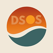Divorce SOS Risk Check