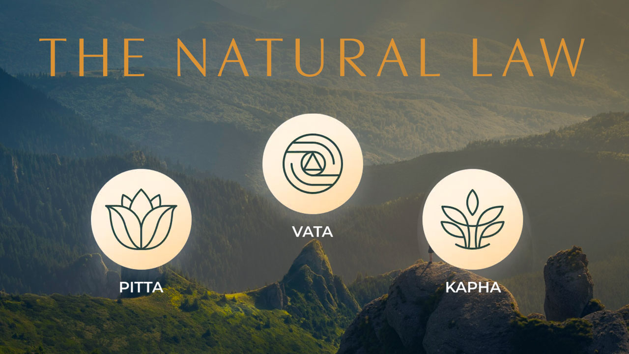 Dosha Quiz