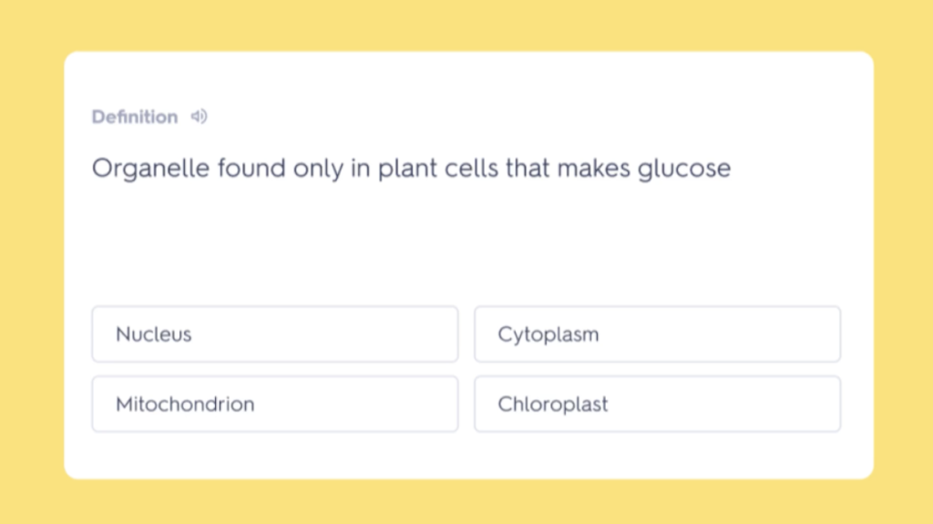 Quizlet Education Quiz