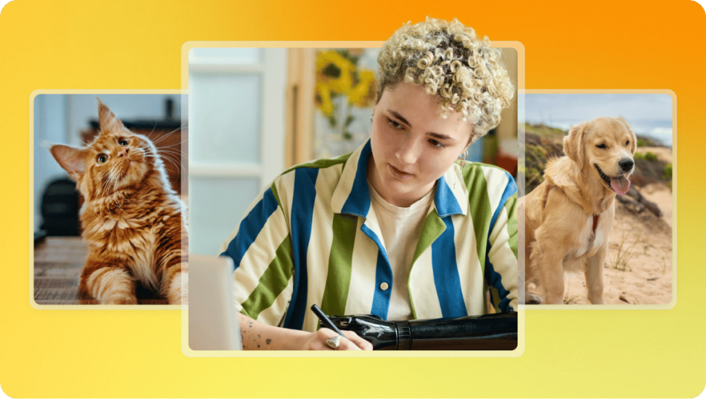 How to build a pet personality quiz to attract more customers