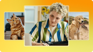 How to Build a Pet Personality Quiz to Attract More Customers